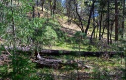 90 Hillcrest Dr, Lewiston, CA 96052