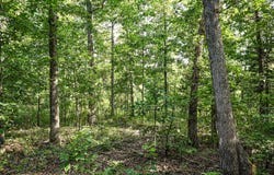 000 State Highway MM, Niangua, MO 65713