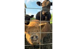 548 SW 300th Road, Centerview, MO 64019