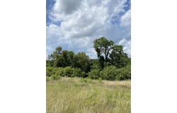 5 Ac Oak Ridge Road, Williamstown, KY 41097