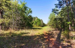FM 852, Winnsboro, TX 75494