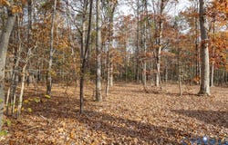 Creekmore Road, Henrico, VA 23238