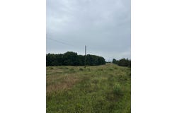 Tbd SE 1325, Weaubleau, MO 65774