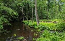 1572 Gardner Road, Stroudsburg, PA 18360