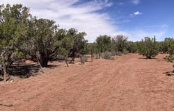 9979 TEXAS Lane, White Mountain Lake, AZ 85912