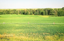 NHN Shields River Road, Wilsall, MT 59086