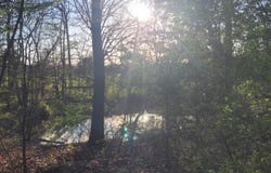 11760 Whispering Pines Road, Neosho, MO 64850