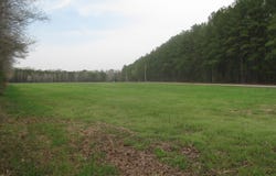 Gary Road Oak Grove Community, Latta, SC 29565