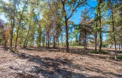 248 Angus RD, Big Sandy, TX 75755