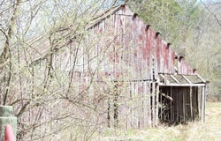 12 Berryman Cutoff, Steelville, MO 65565