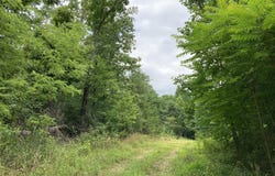 O Orme Mountain Road, South Pittsburg, TN 37380