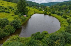 5249 State Route 21, Alfred, NY 14803