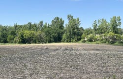 57 W 500 S, Albion, IN 46701