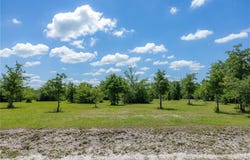 6774 Atakapan Trail, Bedias, TX 77831