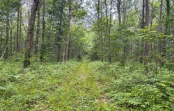 9283 E 250 S, Pierceton, IN 46562