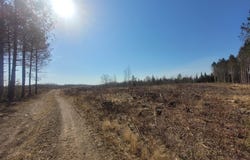 Near KNOWLES RD, Loretta, WI 54896