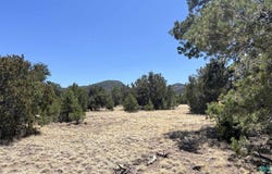Lot 66 Wagon Trail Road, Datil, NM 87821