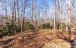 1248 Arborcrest Way, Swannanoa, NC 28778