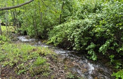 8 Cedar Gulch Lane, Thompson Falls, MT 59873