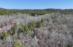 000 CAVANAUGH Road, Royal, AR 71968