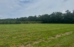 Lot #11 COLD SPRINGS RD, ORRTANNA, PA 17353