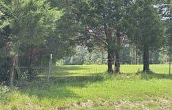 AR Hwy 58, Williford, AR 72482