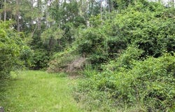 703 Parrish, Sparks, GA 31647