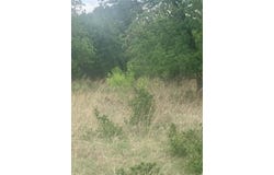 277 Vista Pointe Drive, Chico, TX 76431