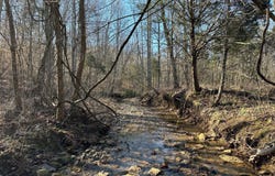 Duvall Rd lot: 15, Caneyville, KY 42721