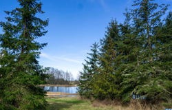 136 Bonneville Lane, Sequim, WA 98382