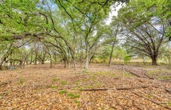 Lots 204 & 205 Deer Hollow Dr., Horseshoe Bay, TX 78657