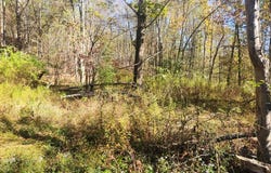 2200 Overton Road, New Albany, PA 18833