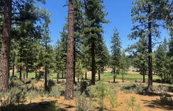 186 Tor Court unit: 57, Carson City, NV 89705