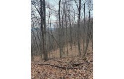9999 King Mountain Road, Williamsburg, KY 40769