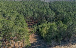 Ben Giddens Road lot: 1, Eastman, GA 31023