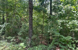 TBD Westwood, Pocahontas, AR 72455