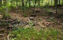 0 DONAHOO LANE, SYLACAUGA, AL 35151