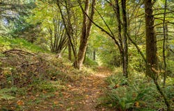 NE Slope Ln, Newberg, OR 97132
