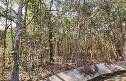 0 Hurricane Boulevard, Irvington, AL 36544