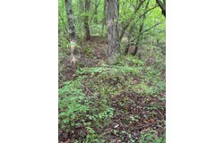 0 Poplar Grove Rd, Columbus, IN 47201