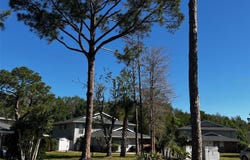4251 PINEBARK AVENUE, ORLANDO, FL 32811