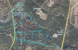 64.68 Acre Mt Beulah Road, Windsor, SC 29856