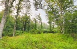 0 Spicy Run Road, Piketon, OH 45661