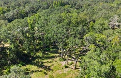 548 NE 543rd St, Old Town, FL 32680