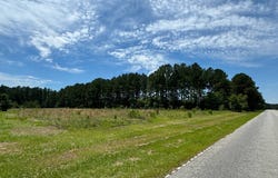 1 Confederate Hwy Parcel A, Fairfax, SC 29827