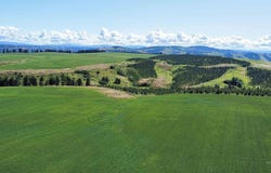 Tbd Basket Rd, Nezperce, ID 83543