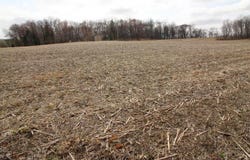 Xxx 690th Street, Martell Twp, WI 54022