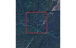 TBD Old Hwy. 165, Pollock, LA 71407