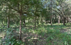 004 S. Wade Rd, Bennington, OK 74723