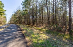 R28371 County Road 411, San Augustine, TX 75972